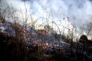 Maui-wildfires-brushfire-grass-fire-disaster